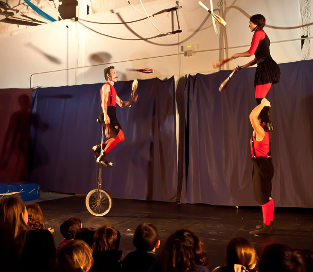 Circo profesional